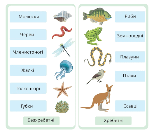 05014zq3-d778-528x459.png