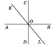 050152cx-06c4-173x147.png