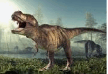 050152mt-7106-223x152.png