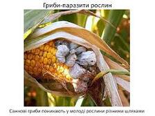 050153w7-e6cd-224x168.jpg