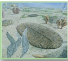 050154bi-7192-140x125.png