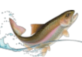050154bp-7766-170x117.png