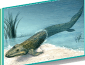 050154d2-6ebd-169x130.png