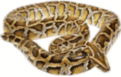 050154en-0555-177x112.png