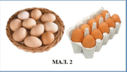050155fp-d1c3-181x104.png