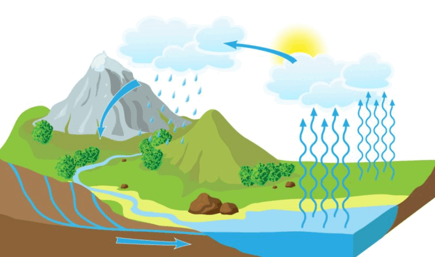 050156be-4350-893x529.png