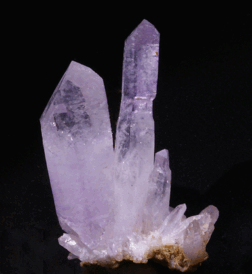 0501572v-d95f-252x274.png