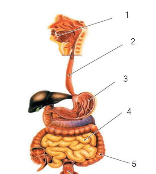 0501578c-6427-548x611.png