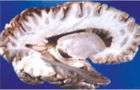 05015akm-d55a-140x90.png