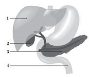 05015alj-ed4a-183x158.jpg