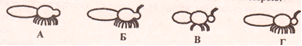 05015duz-e53b-302x46.png