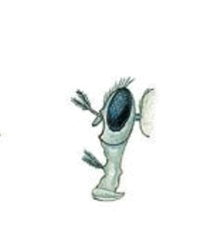 05015e24-0fcf-285x352.png