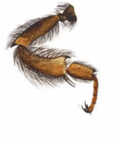 05015enn-f1b4-166x204.png