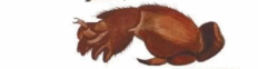 05015eob-e717-232x62.png