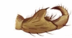 05015eom-bf03-145x77.png