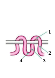 05015es3-3e9b-194x274.png