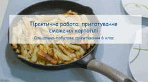 Конспект заняття "Практична робота: приготування смаженої картоплі" СПО 6 клас