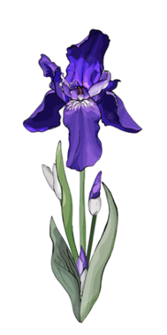 05015i9u-a955-204x408.png