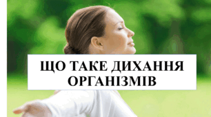 Презентація " Що таке дихання органiзмiв"