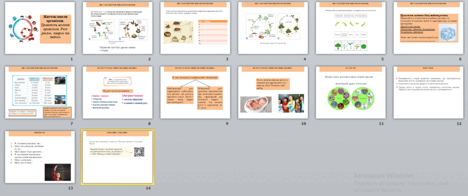 05015ofd-6895-940x394.png