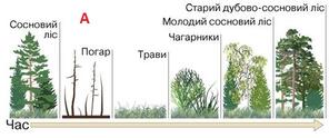 05015r3x-d6e5-296x124.jpg
