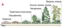 05015r43-1b54-237x108.jpg