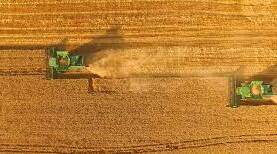 THE AGRICULTURAL EDUCATION IN UKRAINE