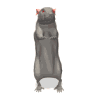 05015tl7-813c-200x200.gif