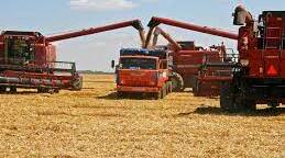 THE DEVELOPMENT OF AGRICULTURE IN UKRAINE