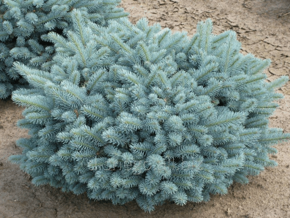 05015ulx-f51b-940x705.png