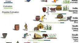 The Origin of Agriculture