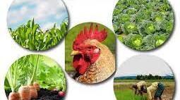 The Branches of Agriculture