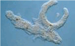 05015uyg-0ddc-152x94.png