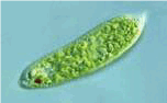 05015uym-ab43-152x94.png
