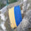 Токарчук София Валеріївна