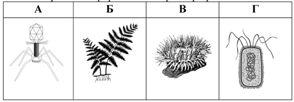 05015xcy-6a66-595x207.png