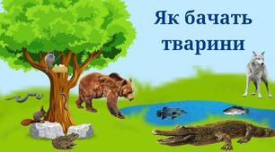 Презентація на тему "Як бачать тварини"