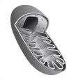 05015xgw-fd5b-112x115.png