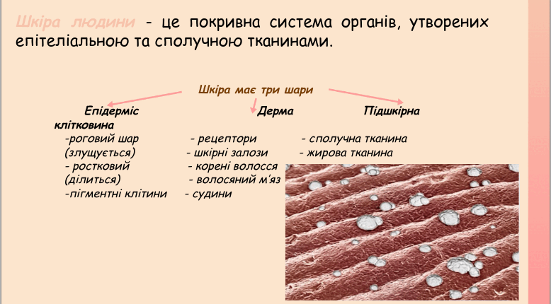 05015xpw-d506-778x430.png