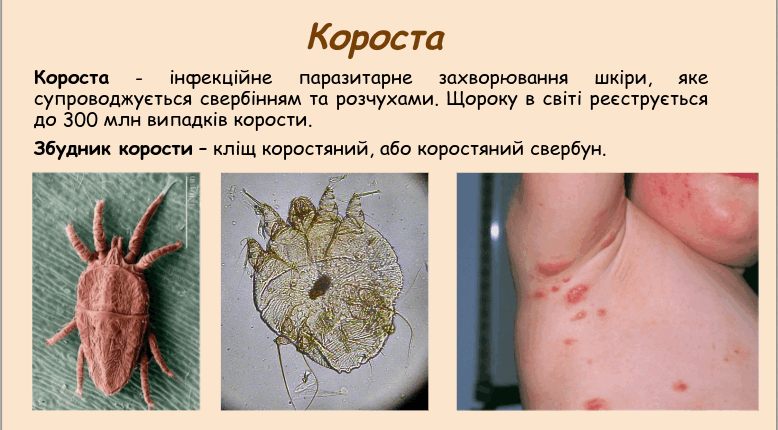 05015xqg-c3fb-778x430.png
