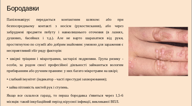 05015xre-5ce5-778x430.png