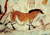 05015zx9-3190-171x122.png