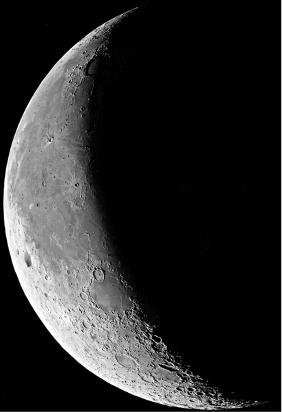 0501608m-a2b5-412x602.png