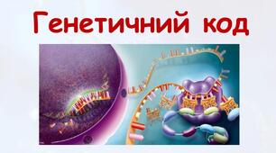 Генетичний код.