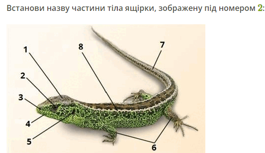 0501617j-0e90-533x309.png