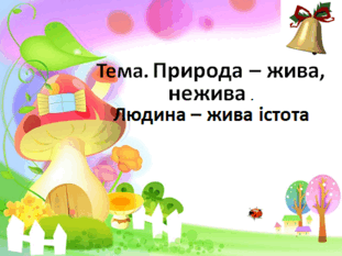 05016197-da5e-311x233.png