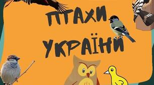 Дидактична гра "Хто в гнізді" закріплення знань про птахів