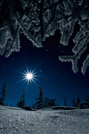 050161nd-e7e2-177x266.gif