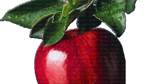 Презентація "What is your favourite fruit?"