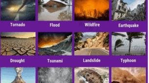 Natural disasters (10 form)